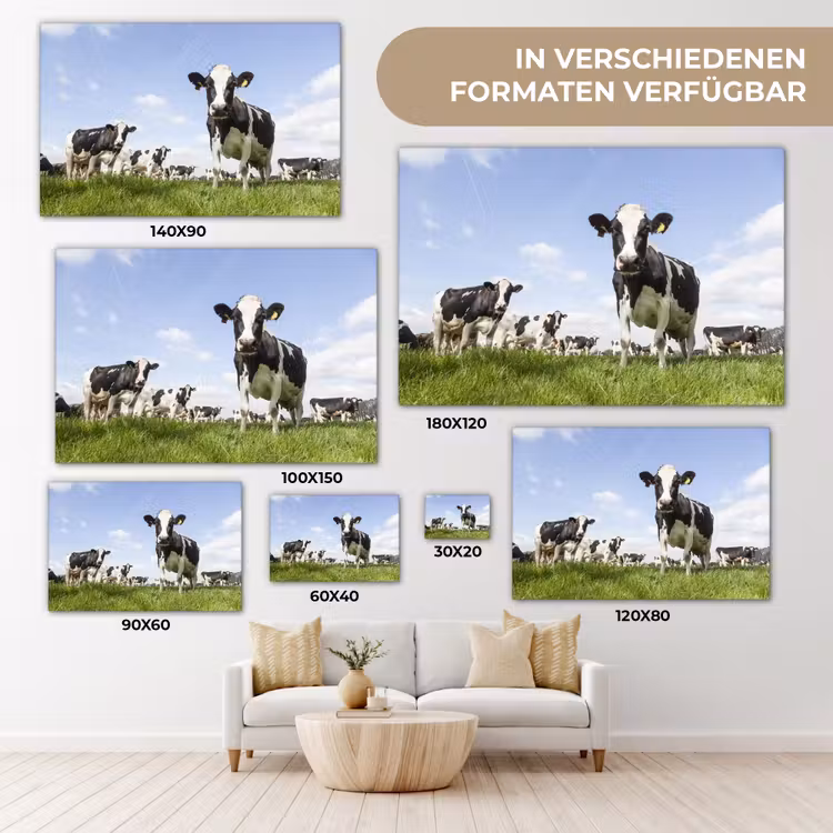 Koeien - Gras - Dieren - Zon - Boerderij canvas 2cm klein -Xsfeer8_DE
