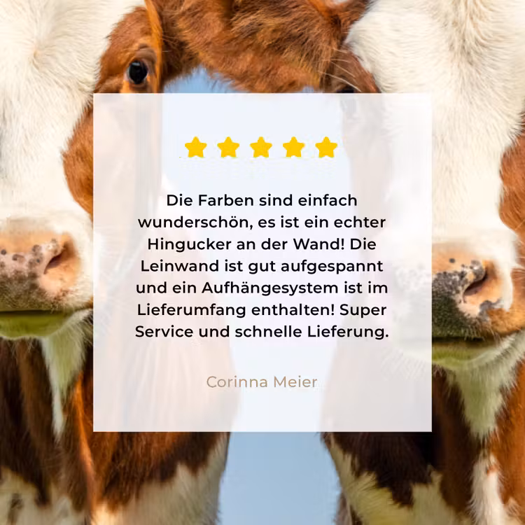 Koeien - Lucht - Dieren - Boerderij - Portret canvas 2cm klein -Xsfeer7_DE