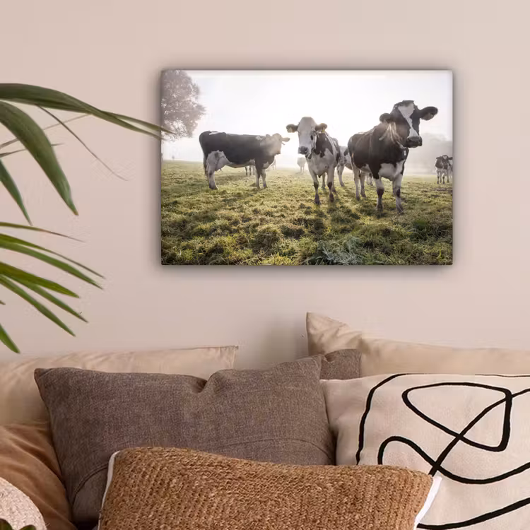 Koeien - Licht - Gras - Dieren canvas 2cm klein -sfeer1