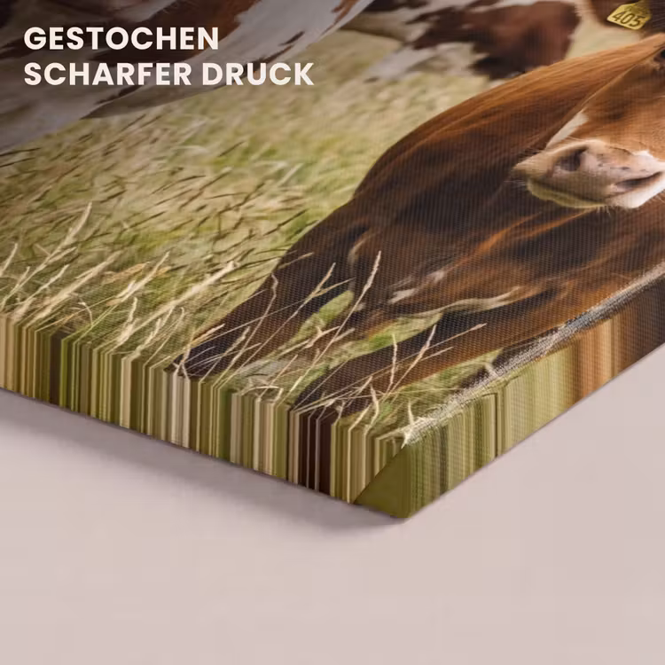 Koeien - Portret - Weide - Boerderij - Nieuwsgierig canvas 2cm klein -closeup_print_DE