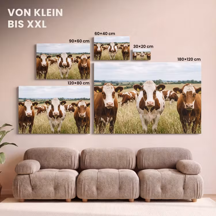 Koeien - Portret - Weide - Boerderij - Nieuwsgierig canvas 2cm klein -Xsfeer8_DE