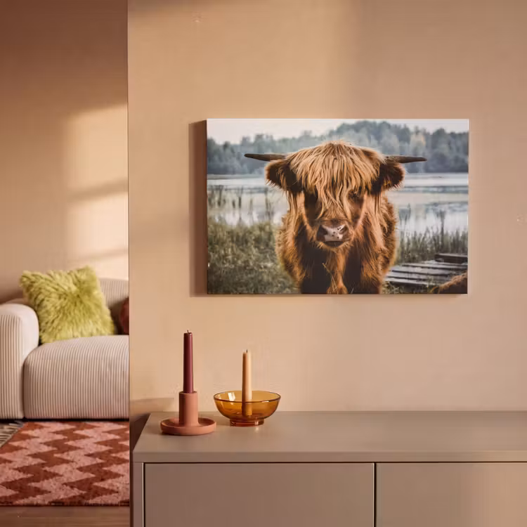Koeien - Schotse hooglander - Bruin - Natuur canvas 2cm klein -sfeer1