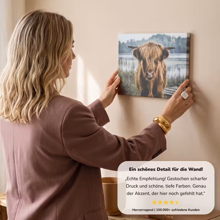 Koeien - Schotse hooglander - Bruin - Natuur canvas 2cm klein -Xsfeer7_DE