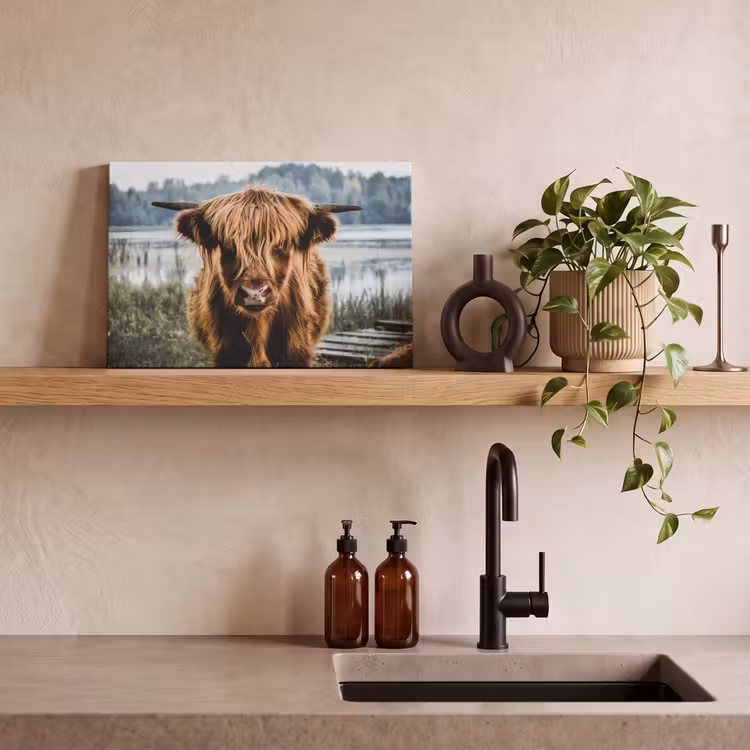 Koeien - Schotse hooglander - Bruin - Natuur canvas 2cm klein -sfeer3