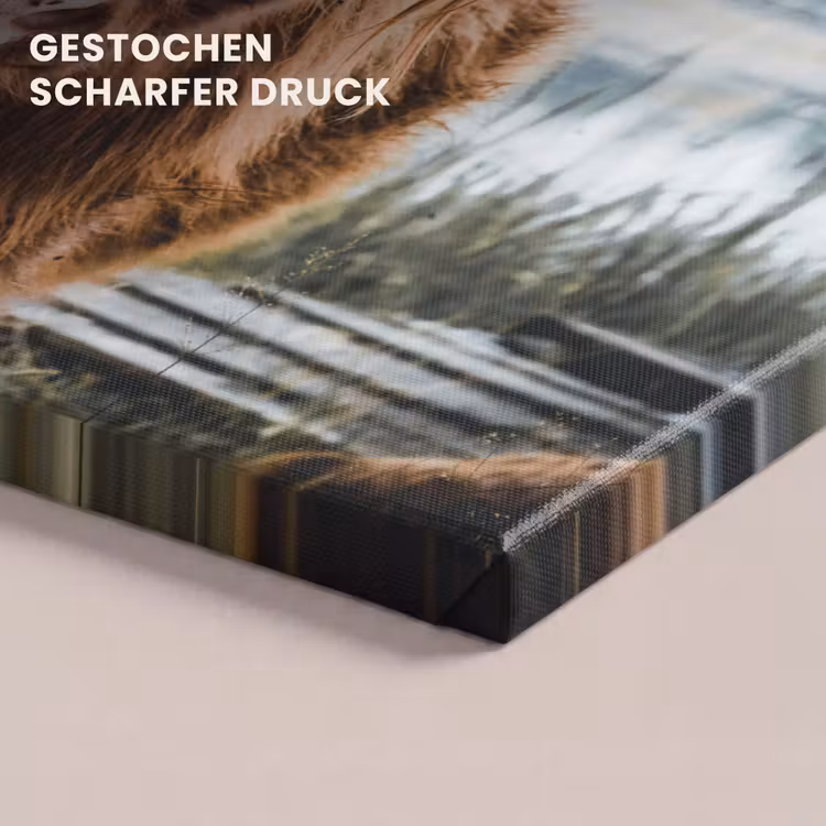 Koeien - Schotse hooglander - Bruin - Natuur canvas 2cm klein -closeup_print_DE