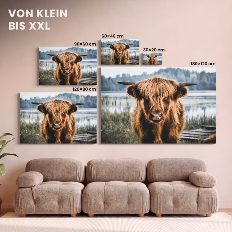 Koeien - Schotse hooglander - Bruin - Natuur canvas 2cm klein -Xsfeer8_DE
