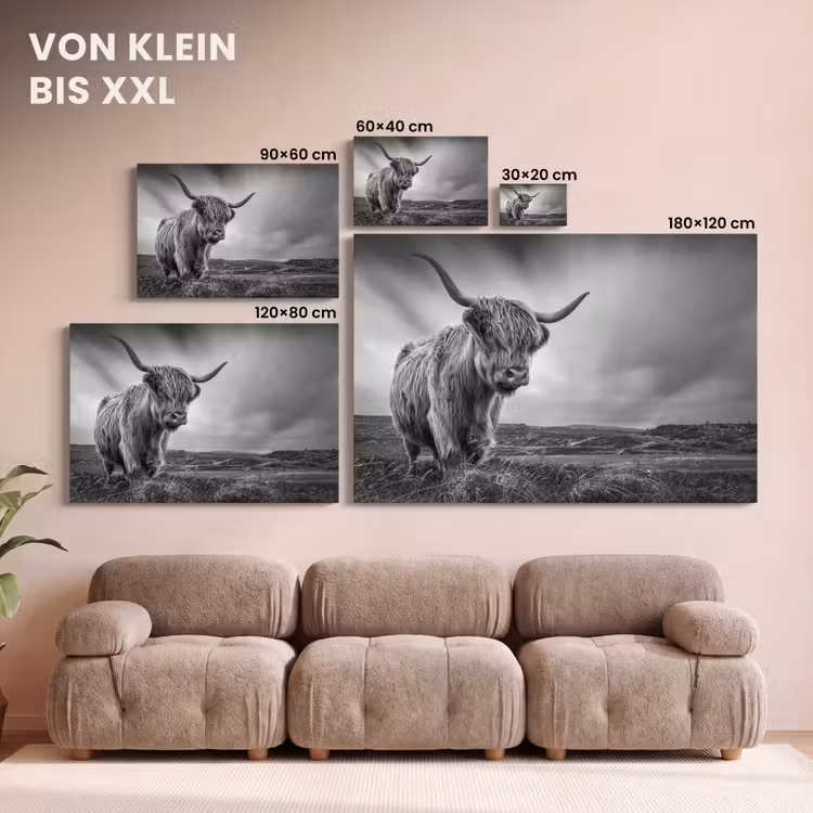 Koeien - Schotse hooglander - Natuur - Dieren - Zwart wit canvas 2cm klein -Xsfeer8_DE