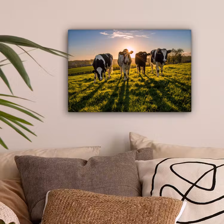 Koeien - Zon - Gras - Dieren - Boerderij canvas 2cm klein -sfeer1