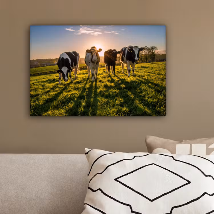 Koeien - Zon - Gras - Dieren - Boerderij canvas 2cm klein -sfeer3
