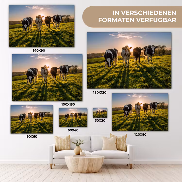 Koeien - Zon - Gras - Dieren - Boerderij canvas 2cm klein -Xsfeer8_DE