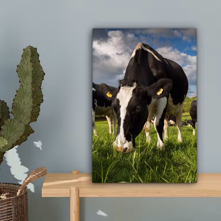 Koeien - Dieren - Gras - Weiland - Boerderij canvas 2cm klein -sfeer4