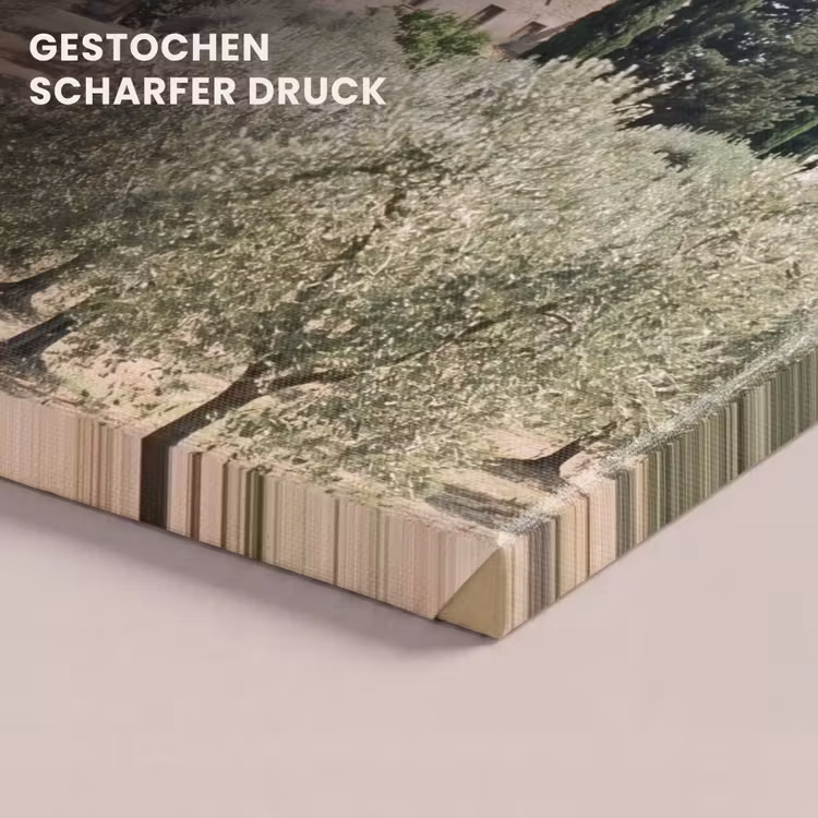 Leinwandbild - Landhaus – Olivenbaum – Obstgarten - Landhuis - olijfboom - gaard canvas 2cm klein