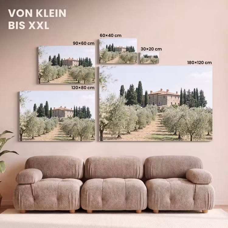 Leinwandbild - Landhaus – Olivenbaum – Obstgarten - Landhuis - olijfboom - gaard canvas 2cm klein