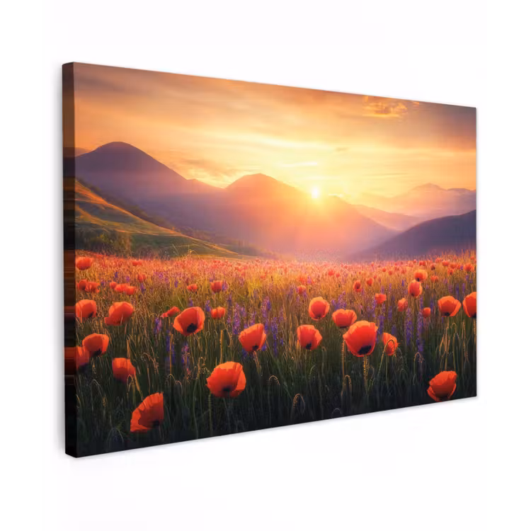 Landschap - Zonsondergang - Bloemenveld canvas 2cm klein -z3d