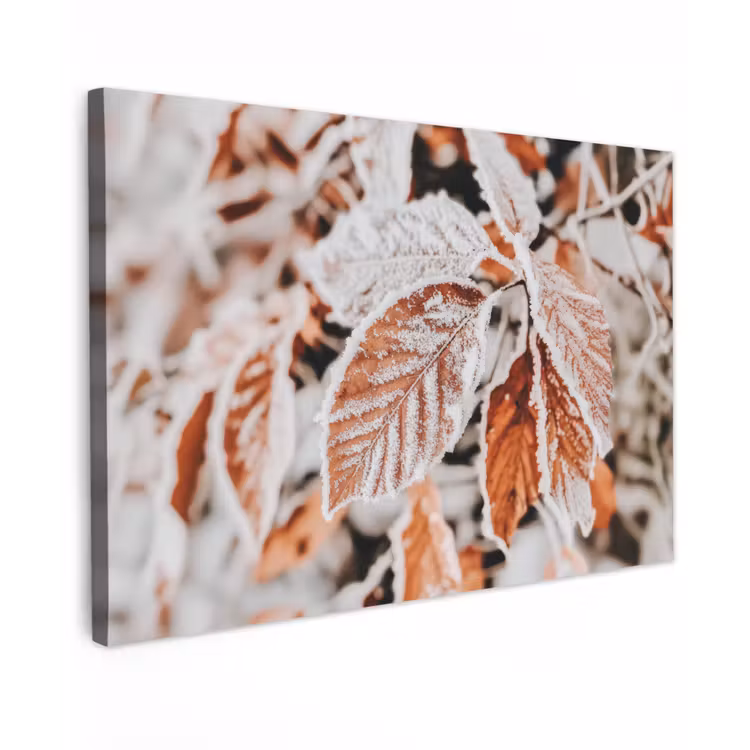 Bladeren - IJs - Winter - Natuur canvas 2cm klein -z3d