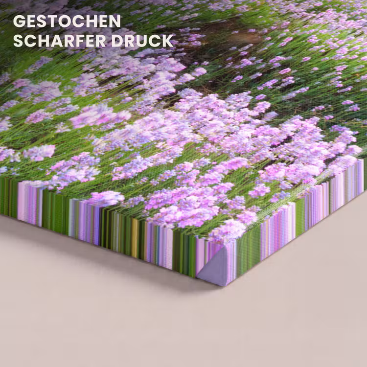 Lavendel - Bloemen - Zonsondergang - Paars - Weide canvas 2cm klein -uniquesellingpoint_afwerking-onlywow_DE