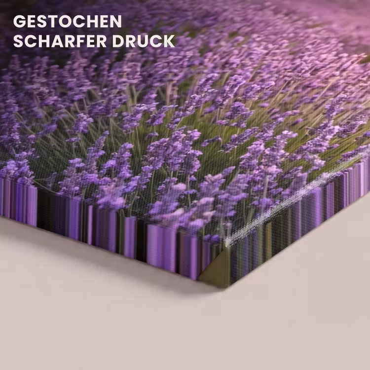 Lavendel - Veld - Natuur - Paars canvas 2cm klein -uniquesellingpoint_afwerking-onlywow_DE