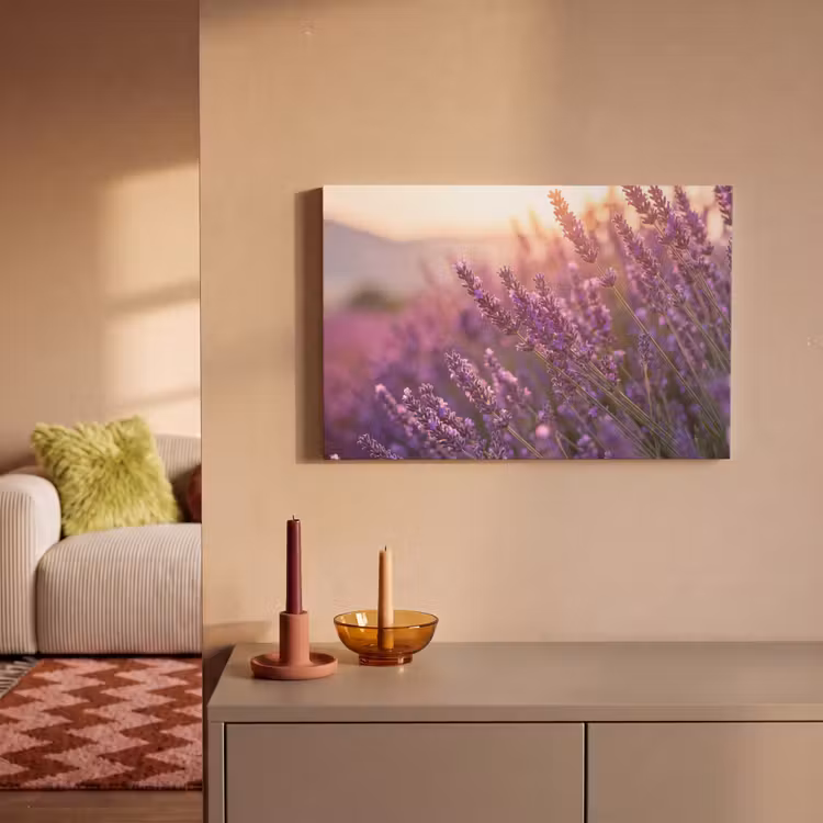 Lavendel - Paars - Zonlicht canvas 2cm klein -sfeer1