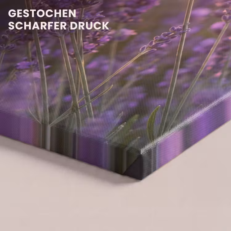 Lavendel - Paars - Zonlicht canvas 2cm klein -uniquesellingpoint_afwerking-onlywow_DE