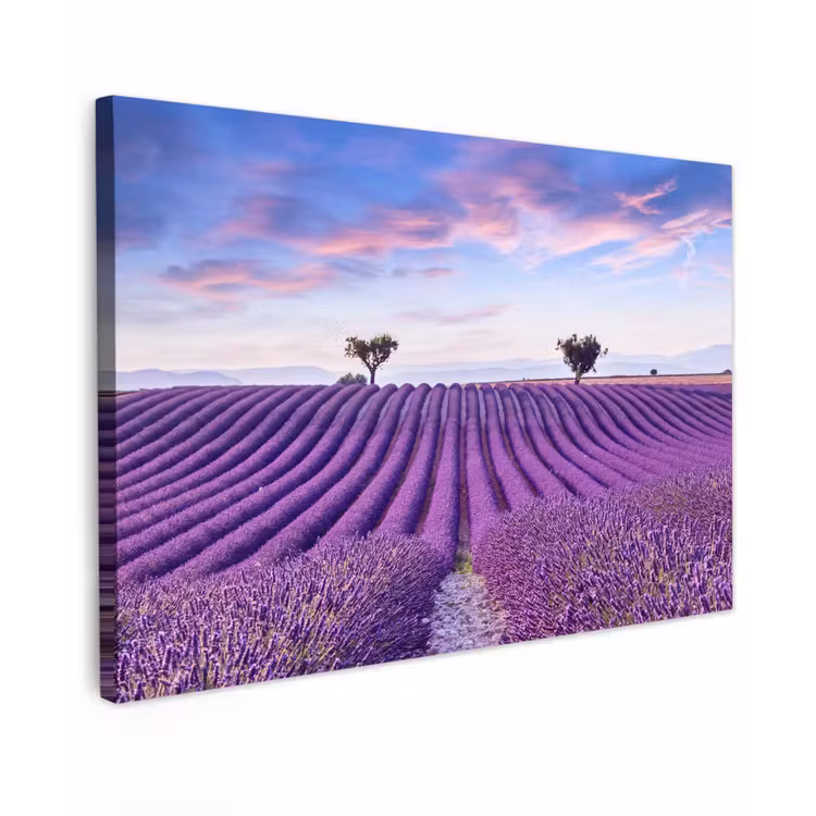 Lavendel - Natuur - Paars - Bomen - Bloemen canvas 2cm klein -z3d