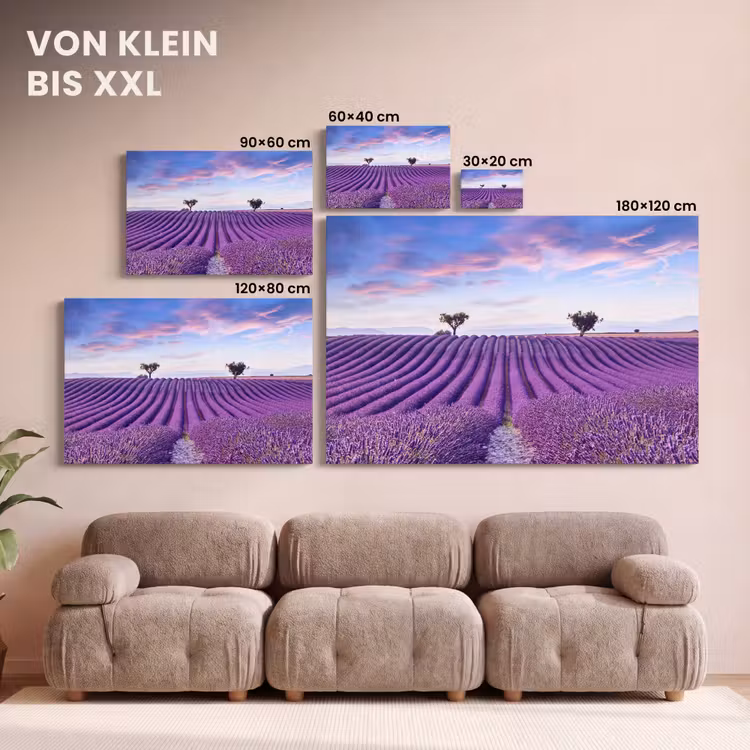Lavendel - Natuur - Paars - Bomen - Bloemen canvas 2cm klein -Xsfeer8_DE