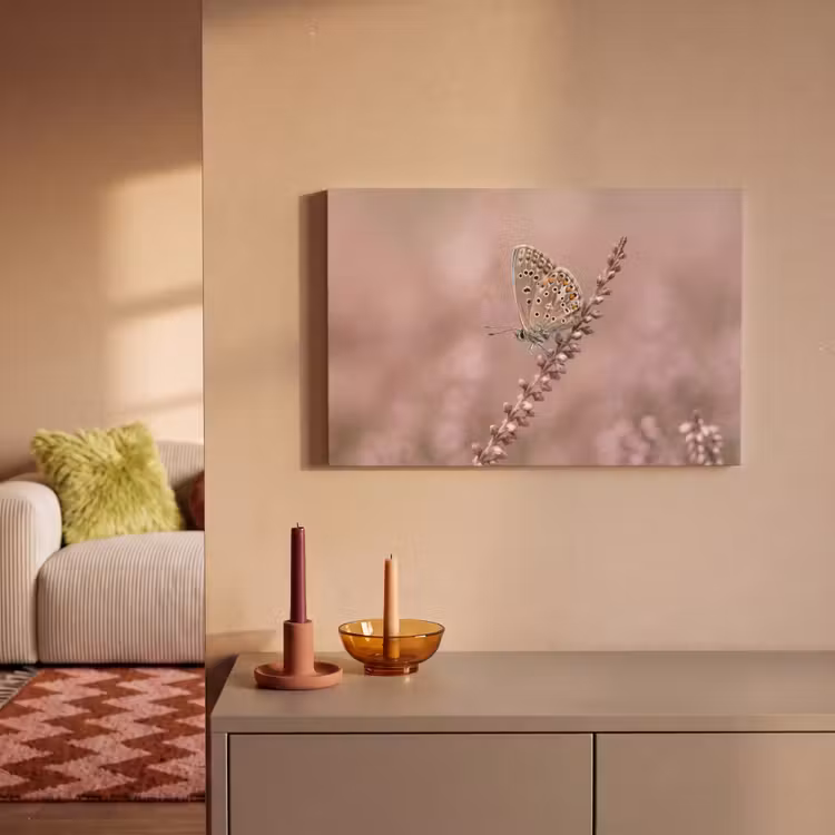 Lavendel - Vlinder - Paars canvas 2cm klein -sfeer1