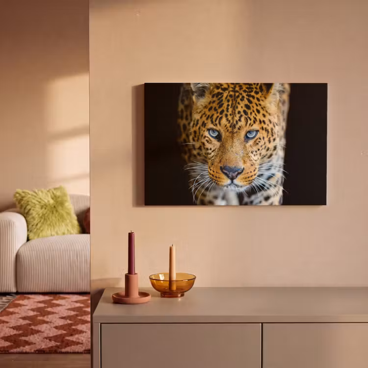 Luipaard - Dieren - Portret - Wilde dieren - Zwart canvas 2cm klein -sfeer1