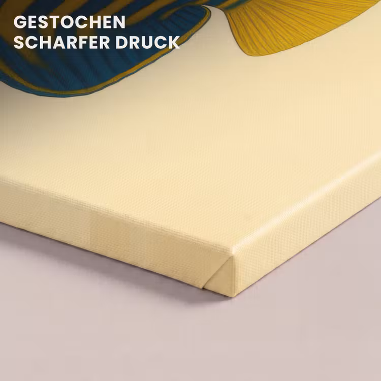 Felgeel - Vis - Strepen - Vinnen canvas 2cm klein -closeup_print_DE