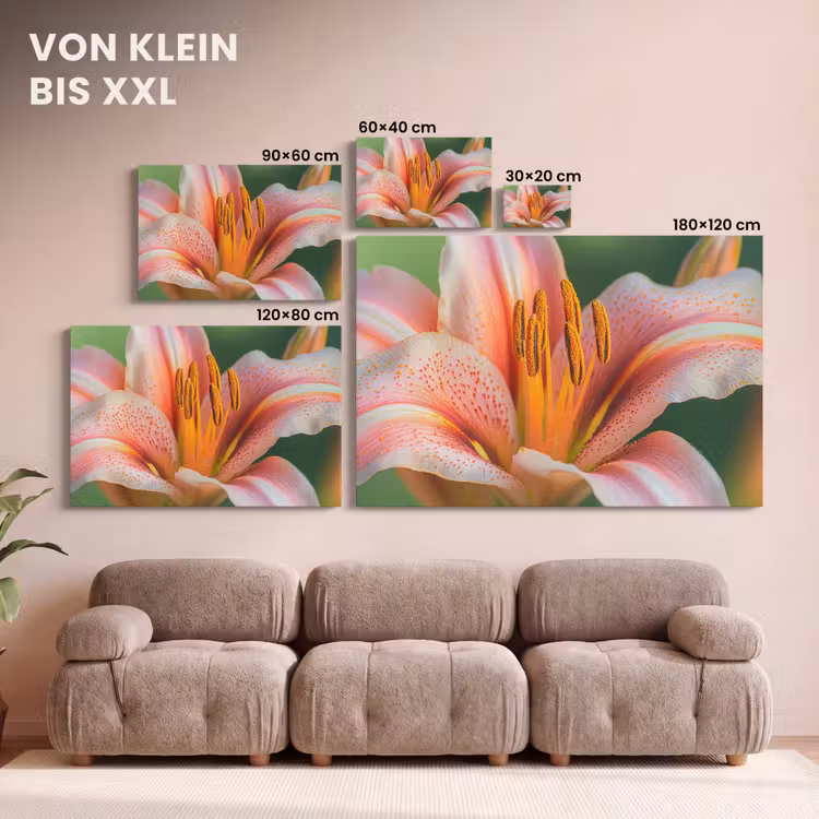 Lelie - Close up - Lichtroze canvas 2cm klein -Xsfeer8_DE