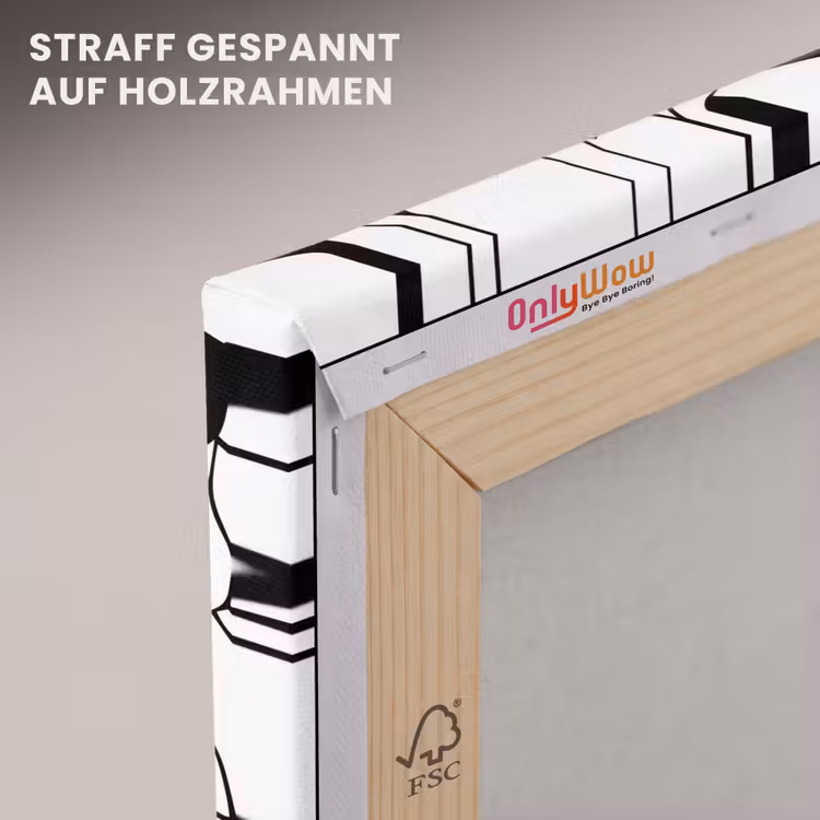 Lijnen - Gezichten - Zwart - Wit canvas 2cm klein 34 -uniquesellingpoint_afwerking-onlywow_DE