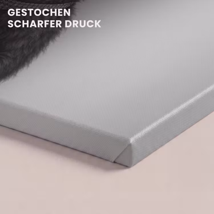 Lama - Flessen - Zwart - Wit canvas 2cm klein -uniquesellingpoint_afwerking-onlywow_DE