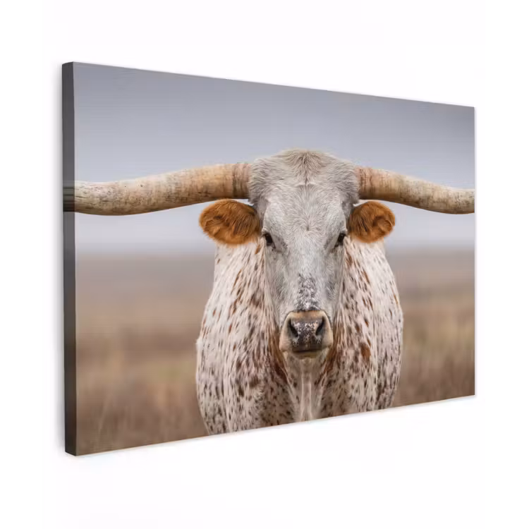 Longhorn - Grasveld - Dier canvas 2cm klein -z3d