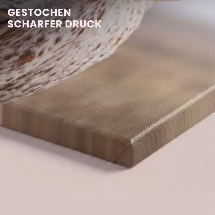 Longhorn - Grasveld - Dier canvas 2cm klein -uniquesellingpoint_afwerking-onlywow_DE