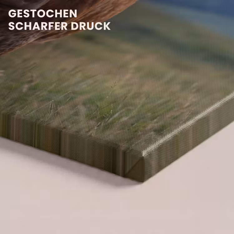 Longhorn - Landschap - Zonsondergang canvas 2cm klein -closeup_print_DE