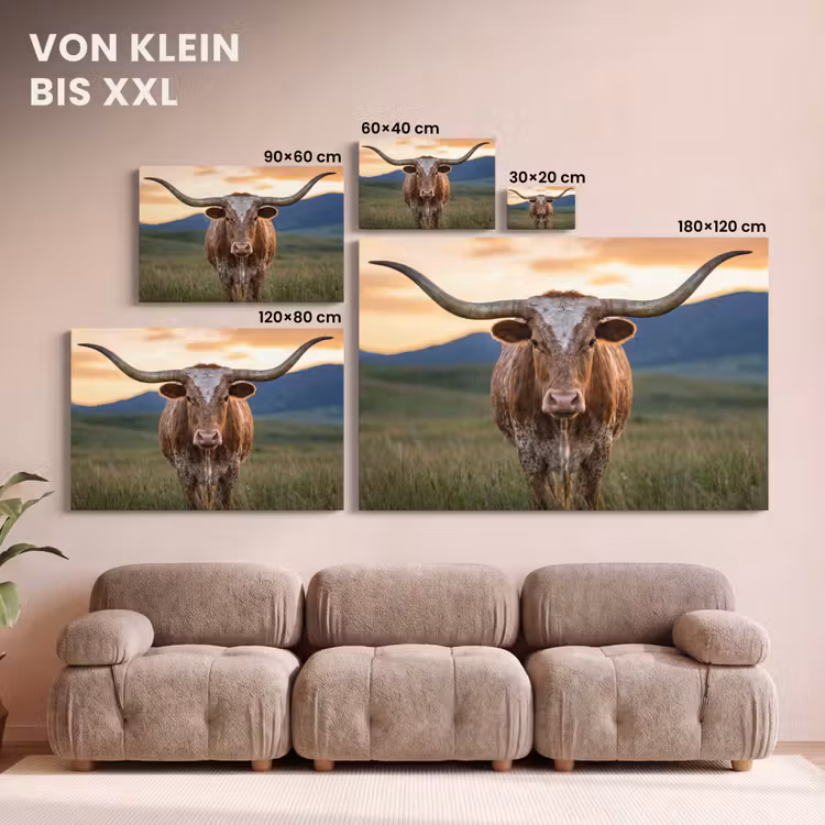 Longhorn - Landschap - Zonsondergang canvas 2cm klein -Xsfeer8_DE