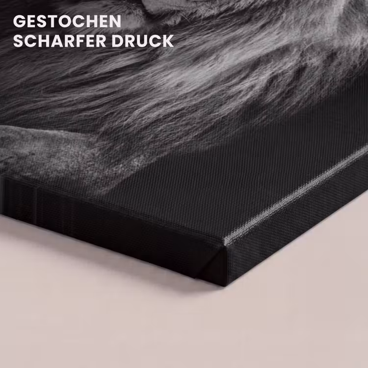 Leeuw - Ogen - Oranje - Zwart wit - Dieren - Portret canvas 2cm klein -closeup_print_DE