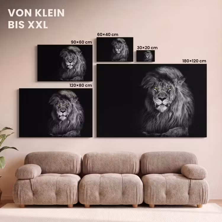 Leeuw - Ogen - Oranje - Zwart wit - Dieren - Portret canvas 2cm klein -Xsfeer8_DE