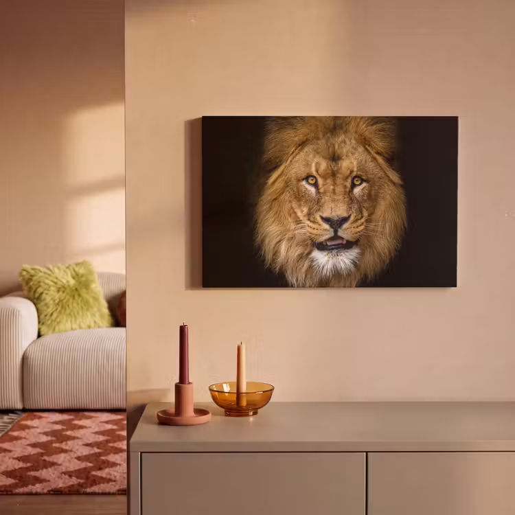Leeuw - Portret - Zwart - Dieren canvas 2cm klein -sfeer1