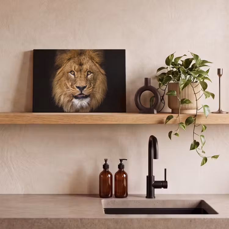 Leeuw - Portret - Zwart - Dieren canvas 2cm klein -sfeer3