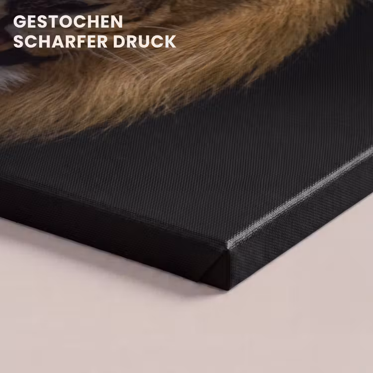 Leeuw - Portret - Zwart - Dieren canvas 2cm klein -closeup_print_DE
