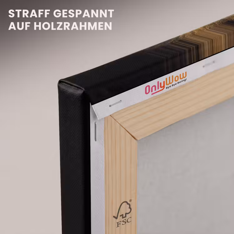 Leeuw - Portret - Zwart - Dieren canvas 2cm klein -uniquesellingpoint_afwerking-onlywow_DE