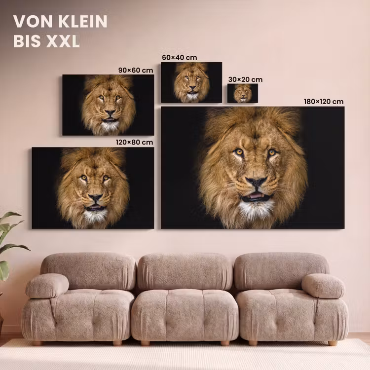 Leeuw - Portret - Zwart - Dieren canvas 2cm klein -Xsfeer8_DE