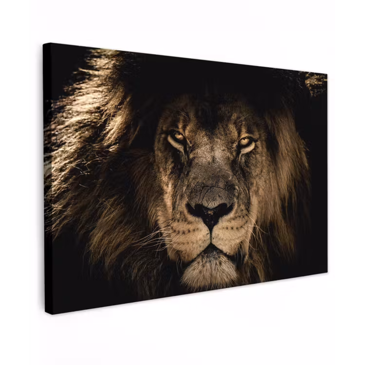 Leeuw - Dieren - Zwart - Portret canvas 2cm klein -z3d