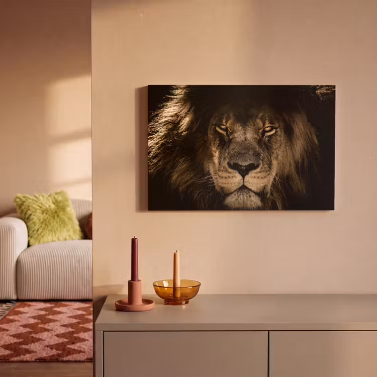Leeuw - Dieren - Zwart - Portret canvas 2cm klein -sfeer1