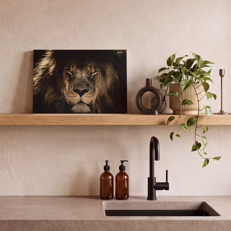 Leeuw - Dieren - Zwart - Portret canvas 2cm klein -sfeer3