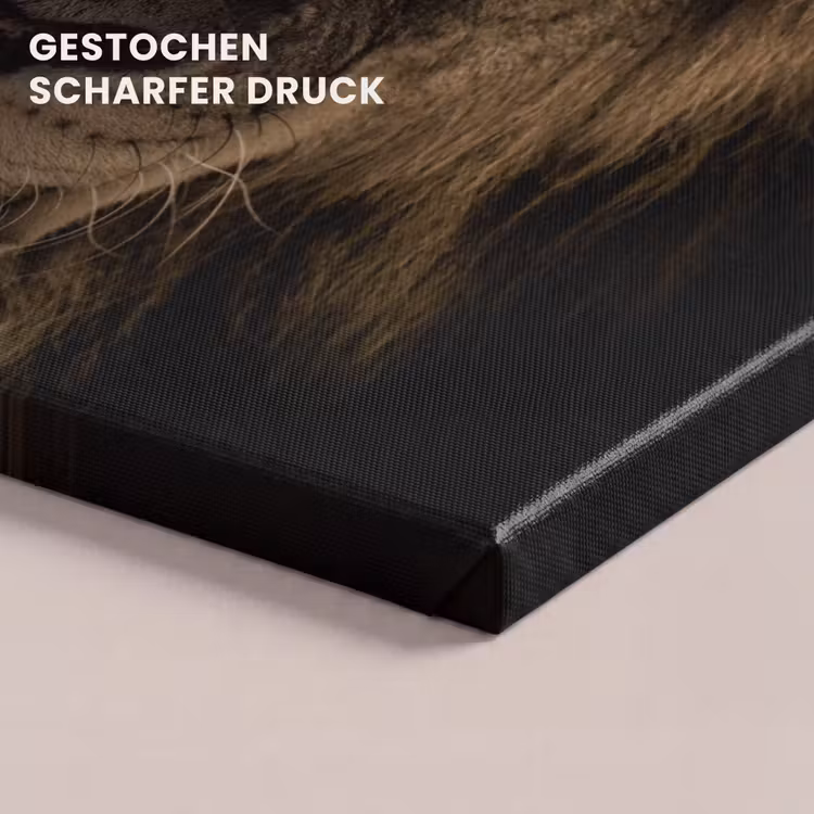 Leeuw - Dieren - Zwart - Portret canvas 2cm klein -closeup_print_DE