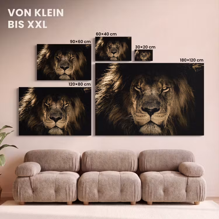 Leeuw - Dieren - Zwart - Portret canvas 2cm klein -Xsfeer8_DE