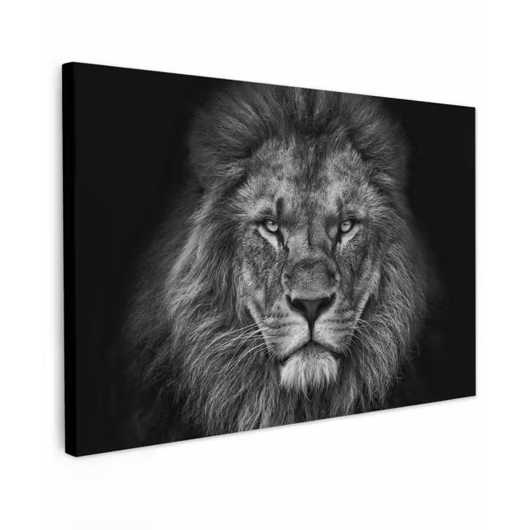 Leeuw - Dieren - Zwart - Wit canvas 2cm klein -z3d