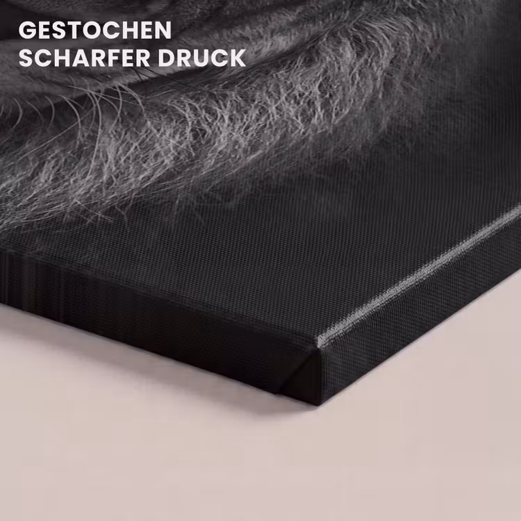 Leeuw - Dieren - Zwart - Wit canvas 2cm klein -uniquesellingpoint_afwerking-onlywow_DE