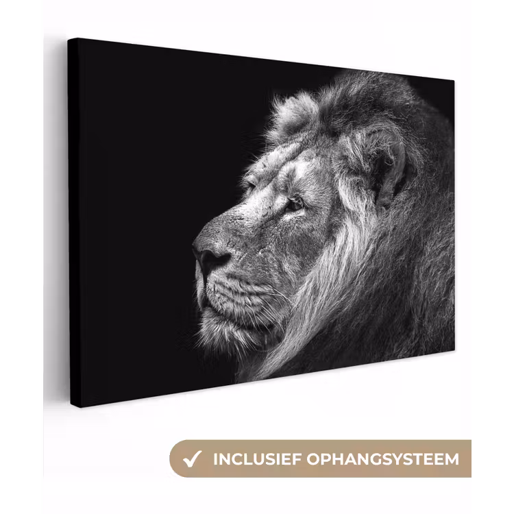 Leeuw tegen zwarte achtergrond in zwart-wit canvas 2cm klein -3d